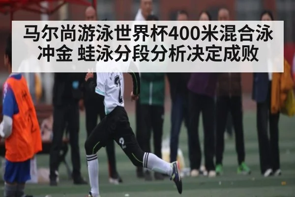 马尔尚游泳世界杯400米混合泳冲金 蛙泳分段分析决定成败
